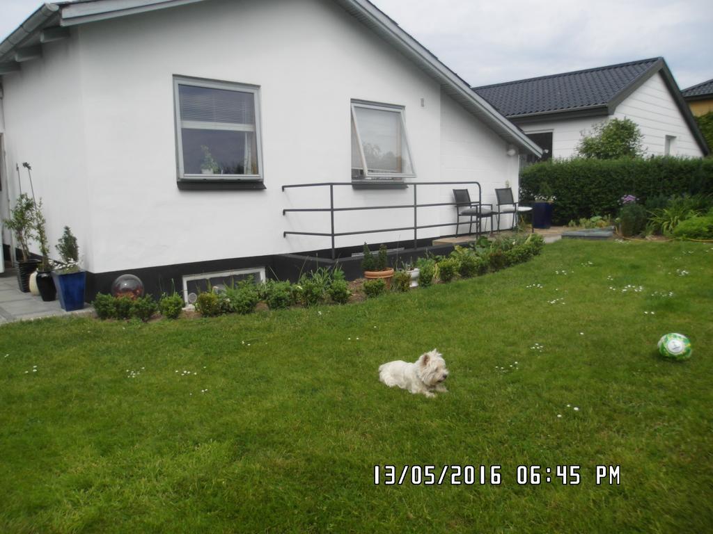 Mit Bed&Breakfast Kolding Exterior foto